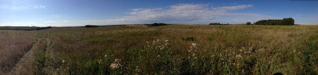 40 acres