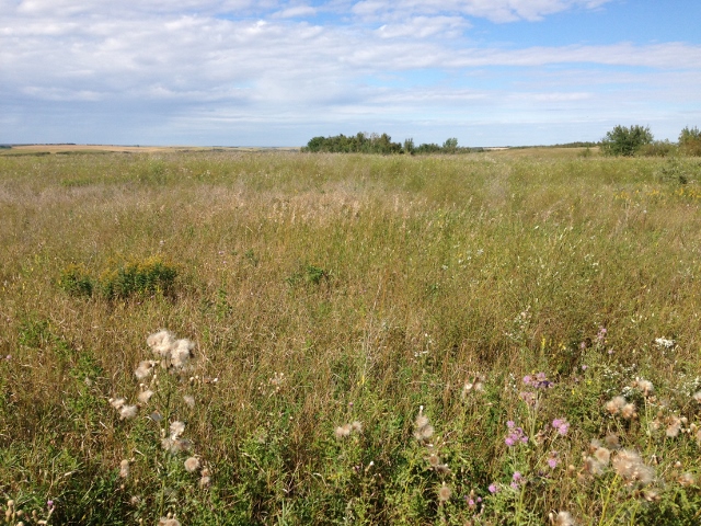 40 acres