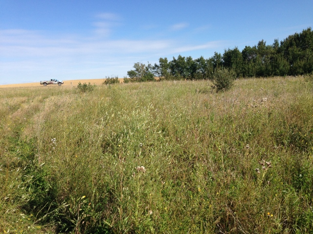 40 acres